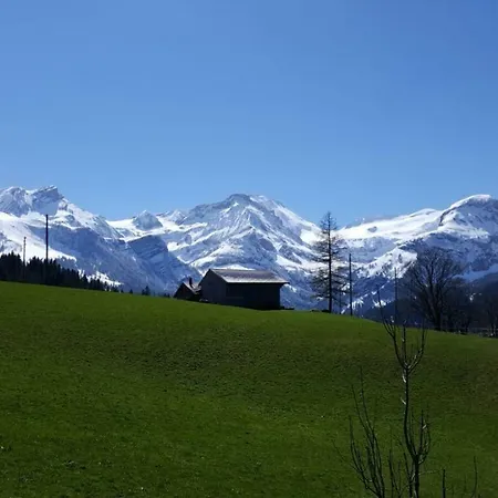 Chalet Lauenenhorn Διαμέρισμα Lauenen
